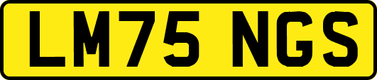 LM75NGS