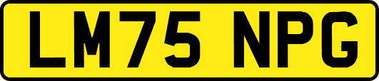 LM75NPG