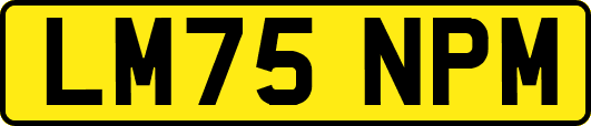 LM75NPM