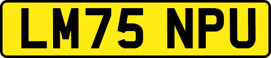 LM75NPU