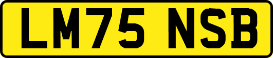 LM75NSB