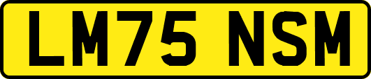 LM75NSM