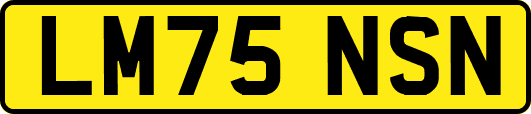 LM75NSN