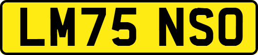 LM75NSO