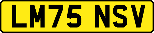 LM75NSV