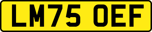 LM75OEF