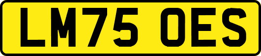 LM75OES