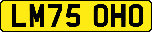 LM75OHO