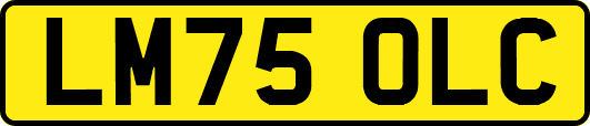 LM75OLC