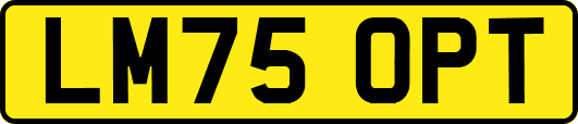 LM75OPT