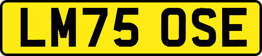 LM75OSE