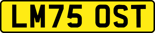 LM75OST