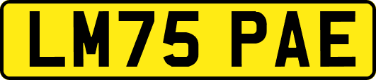 LM75PAE