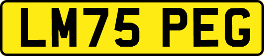 LM75PEG