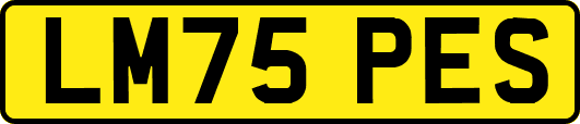 LM75PES