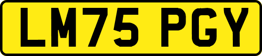 LM75PGY