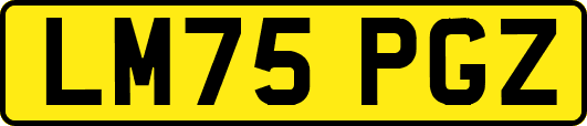 LM75PGZ