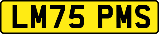 LM75PMS
