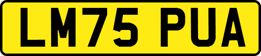 LM75PUA