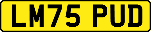 LM75PUD