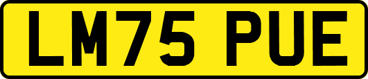 LM75PUE