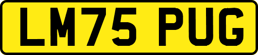LM75PUG