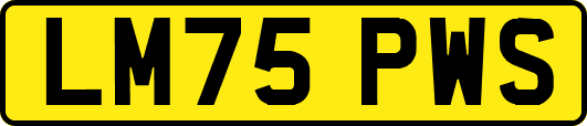 LM75PWS