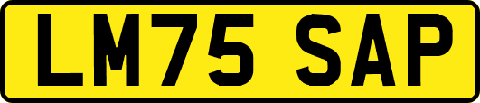 LM75SAP