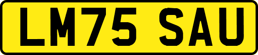 LM75SAU