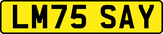 LM75SAY