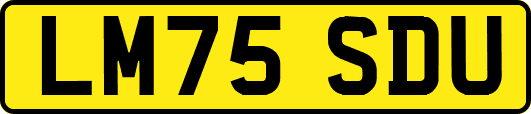 LM75SDU