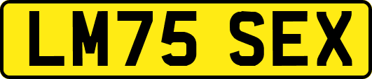 LM75SEX