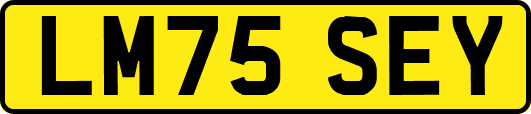 LM75SEY
