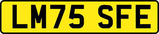 LM75SFE