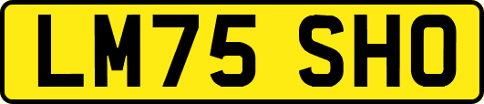 LM75SHO