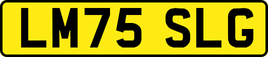 LM75SLG