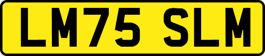 LM75SLM