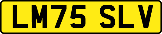 LM75SLV