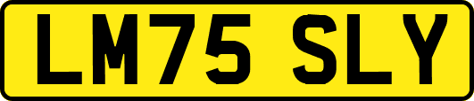 LM75SLY