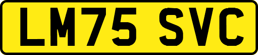 LM75SVC
