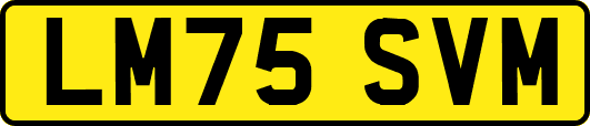 LM75SVM
