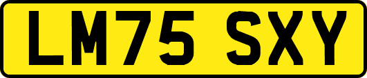 LM75SXY