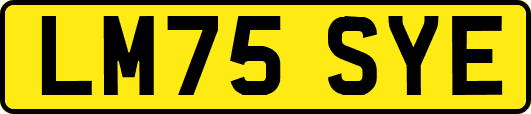 LM75SYE