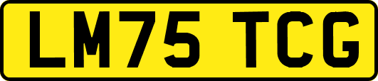 LM75TCG