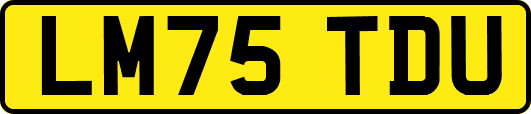 LM75TDU