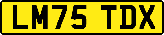 LM75TDX