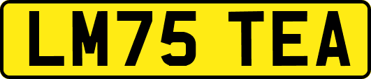 LM75TEA
