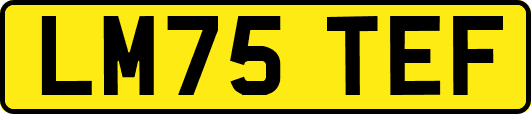 LM75TEF