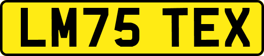 LM75TEX