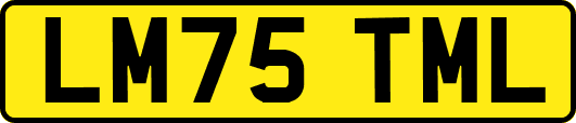 LM75TML